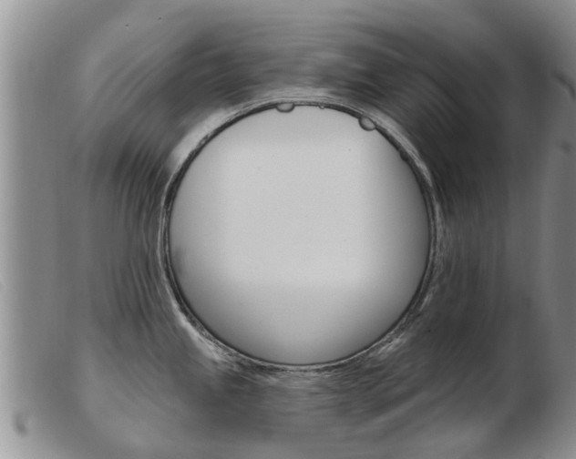 X0000103931245200809191115