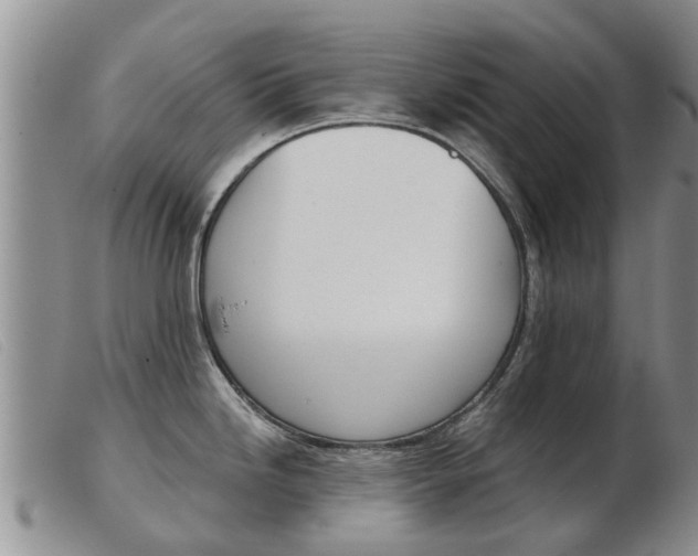 X0000103931246200809191115