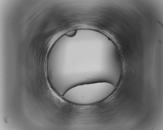 X0000103931247200809191115