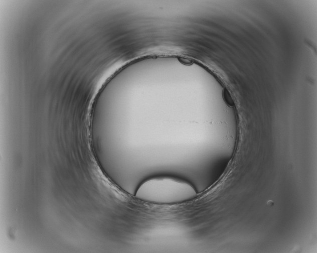 X0000103931248200809191116
