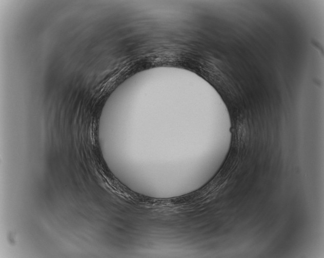 X0000103931250200809191115