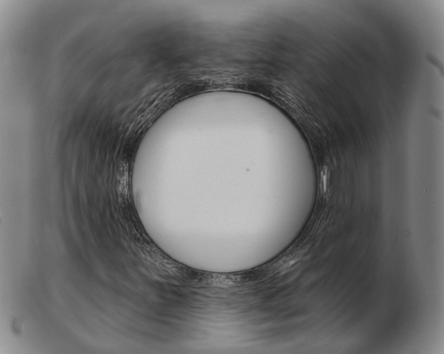 X0000103931251200809191115