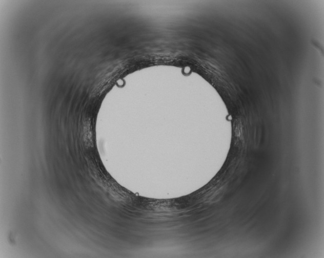 X0000103931252200809191115