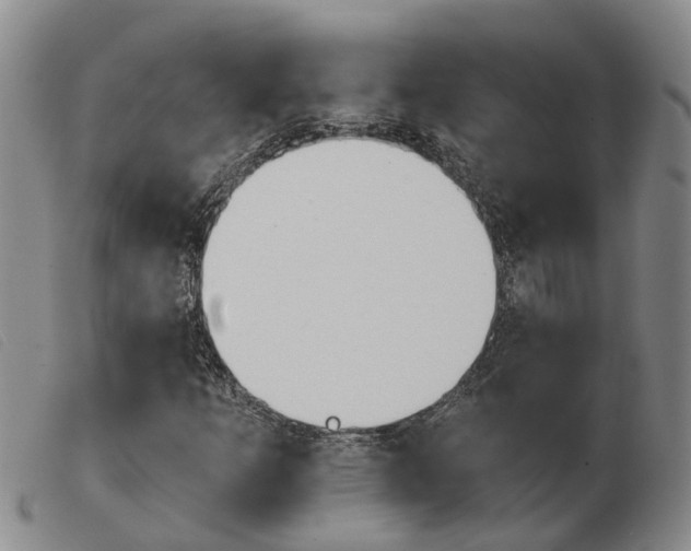 X0000103931253200809191115