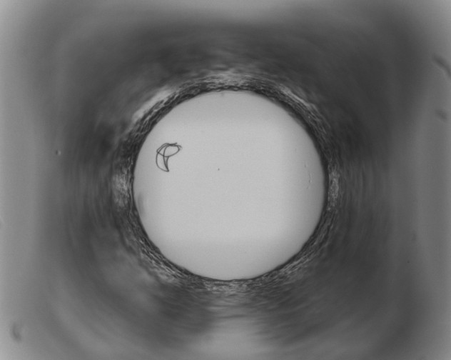 X0000103931254200809191115