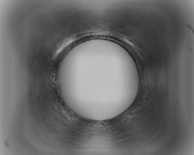 X0000103931255200809191115