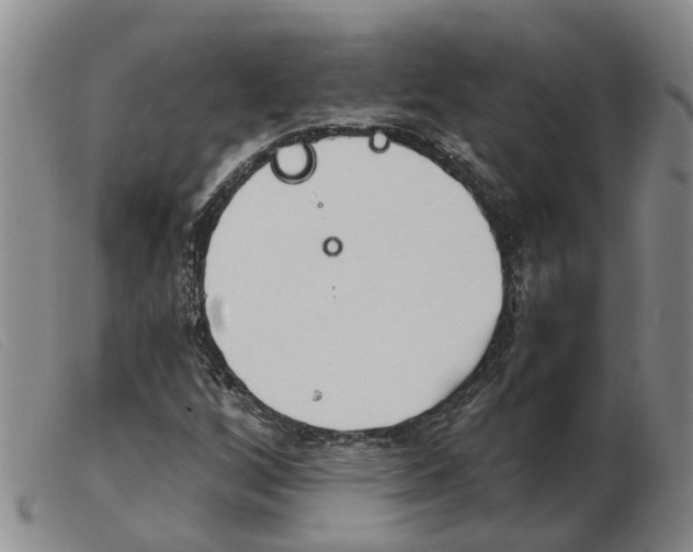 X0000103931256200809191115