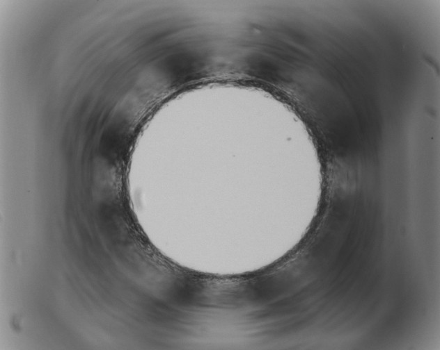 X0000103931257200809191115