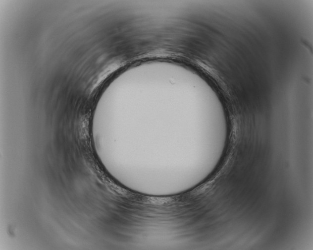 X0000103931258200809191115