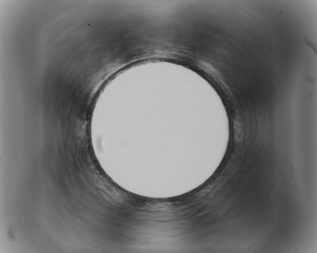 X0000103931260200809191115