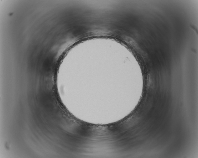 X0000103931261200809191115