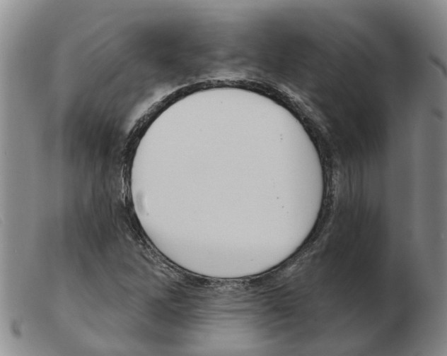 X0000103931262200809191115