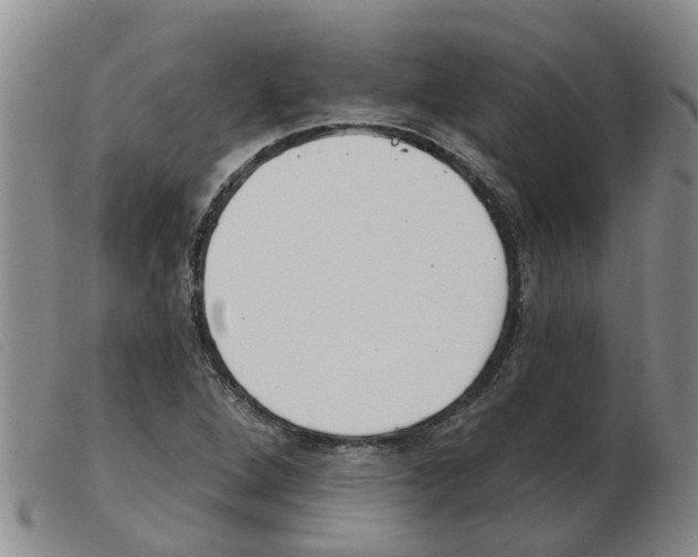 X0000103931264200809191115
