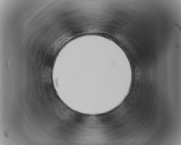 X0000103931265200809191115