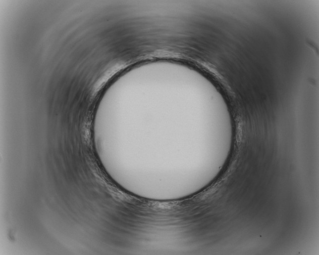 X0000103931266200809191115