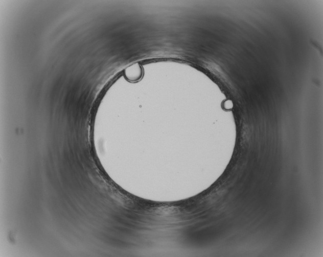X0000103931268200809191115