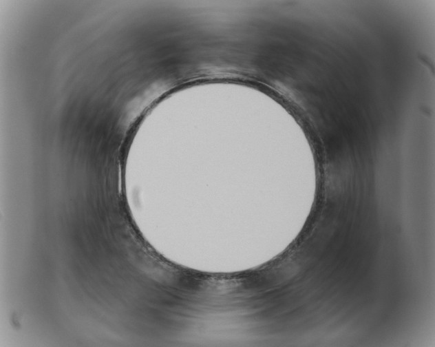 X0000103931269200809191115