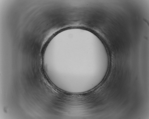 X0000103931270200809191115