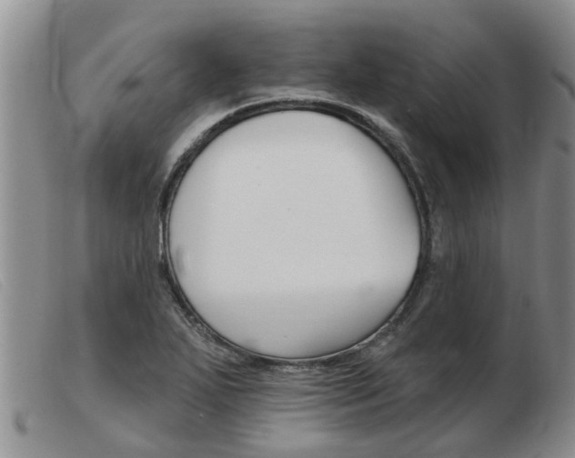 X0000103931271200809191115