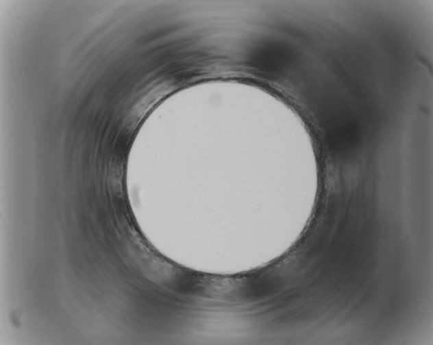 X0000103931273200809191115