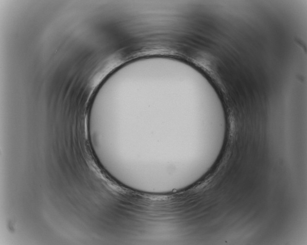 X0000103931274200809191114