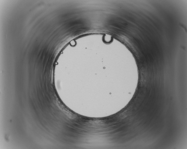 X0000103931276200809191114