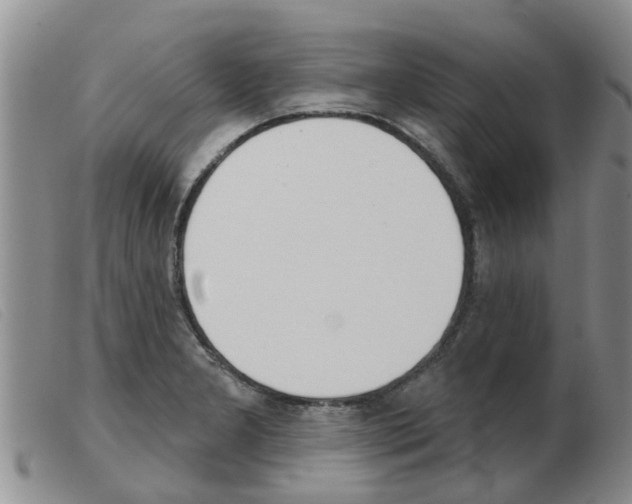 X0000103931277200809191114
