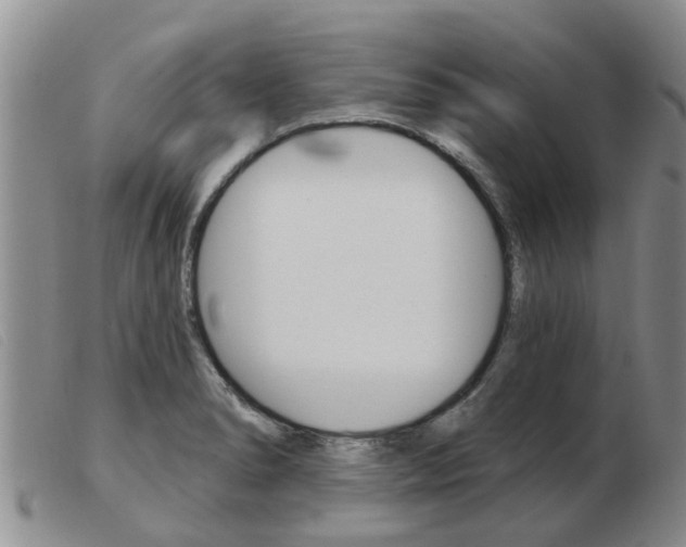 X0000103931278200809191114
