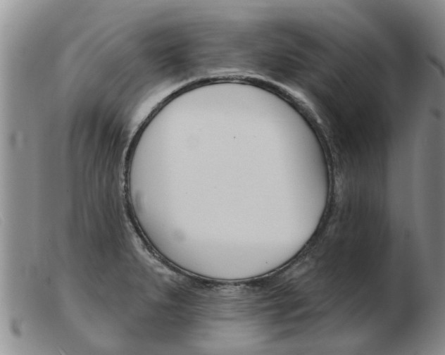 X0000103931279200809191114