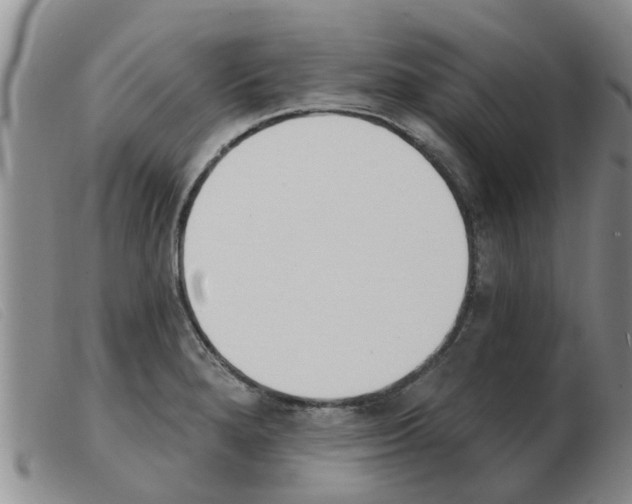 X0000103931280200809191114