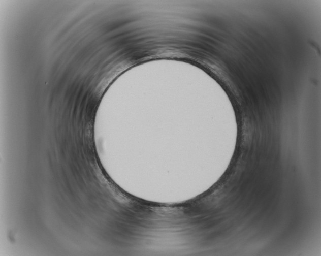 X0000103931281200809191114