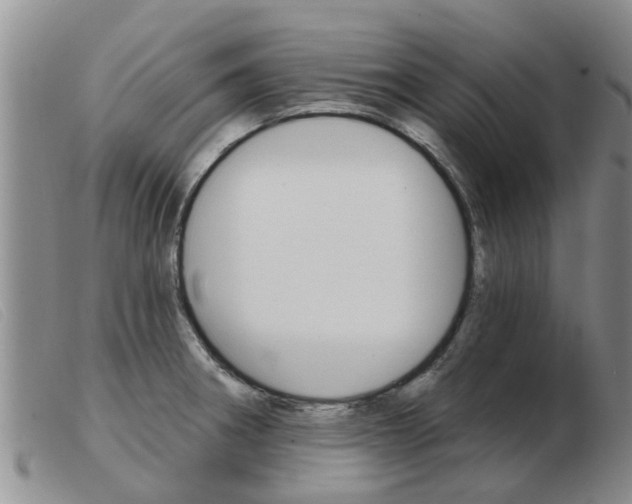 X0000103931282200809191114