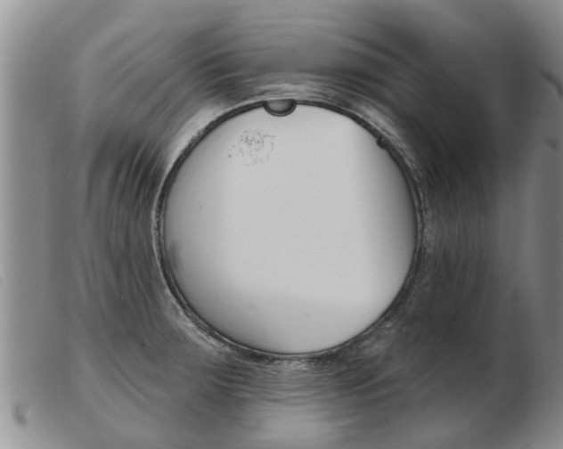 X0000103931283200809191114