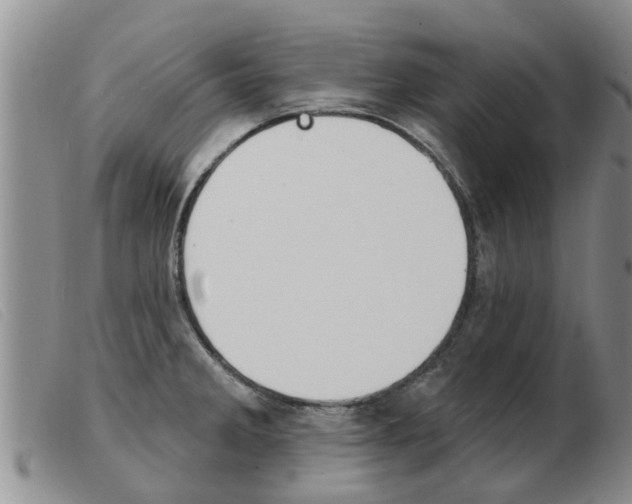 X0000103931285200809191114