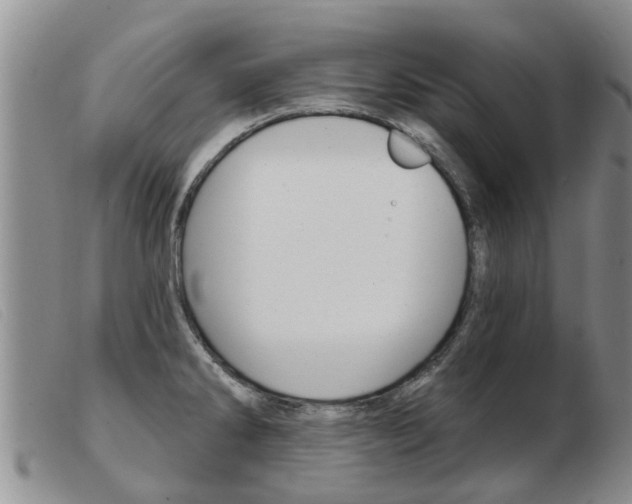 X0000103931286200809191114