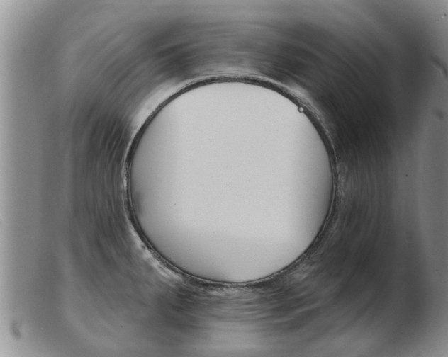 X0000103931287200809191114