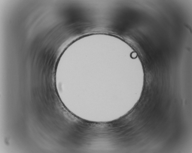 X0000103931288200809191114