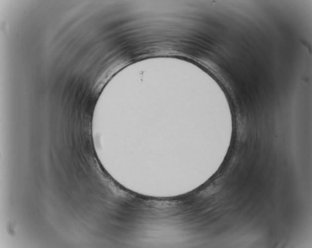 X0000103931289200809191114