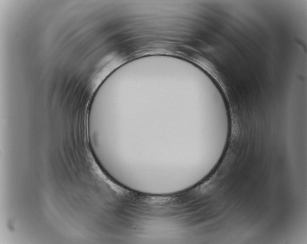 X0000103931290200809191114