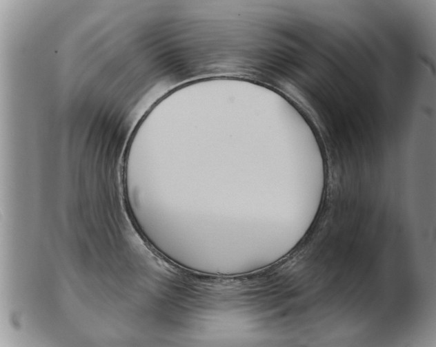 X0000103931291200809191114