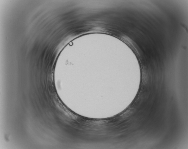 X0000103931292200809191114