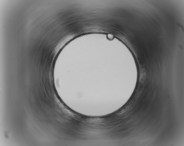 X0000103931293200809191114
