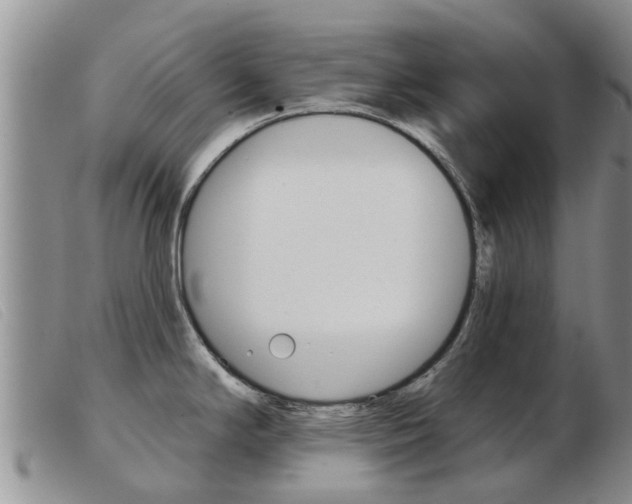 X0000103931294200809191114