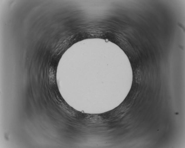 X0000103931298200809191113