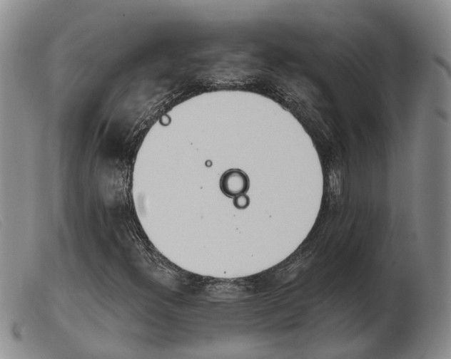 X0000103931300200809191113