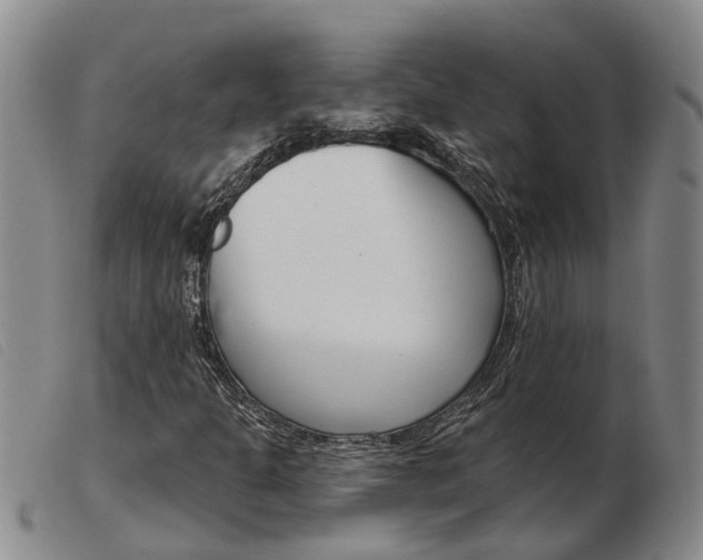 X0000103931301200809191113