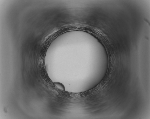 X0000103931302200809191113
