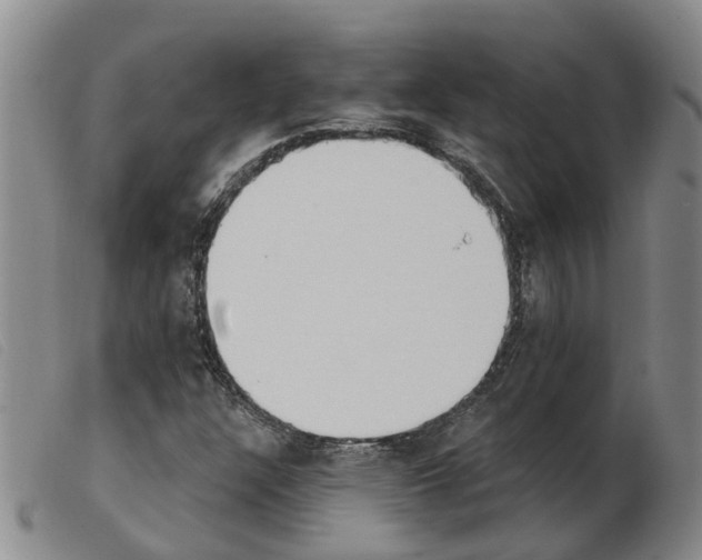 X0000103931304200809191113