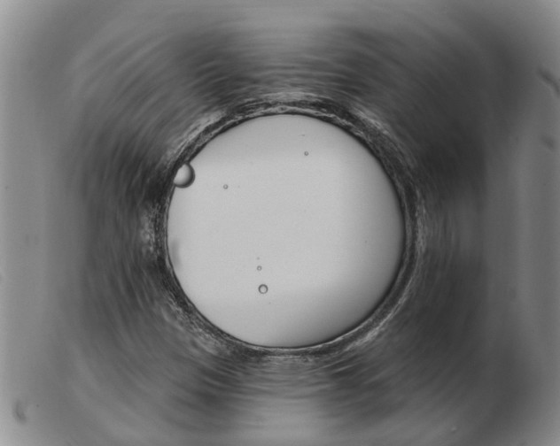 X0000103931305200809191113