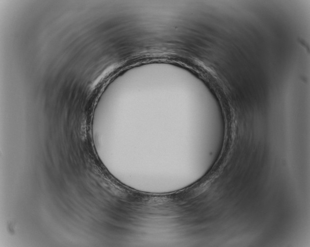 X0000103931306200809191113